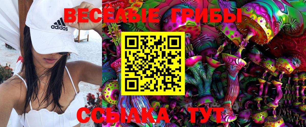 Галлюциногенные грибы прущие грибы Тосно