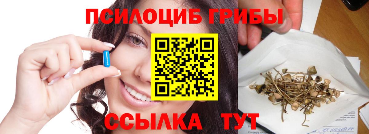где найти наркотики  Галлюциногенные грибы Magic Shrooms  Вход с VPN  Галлюциногенные грибы ЛСД  Тосно 